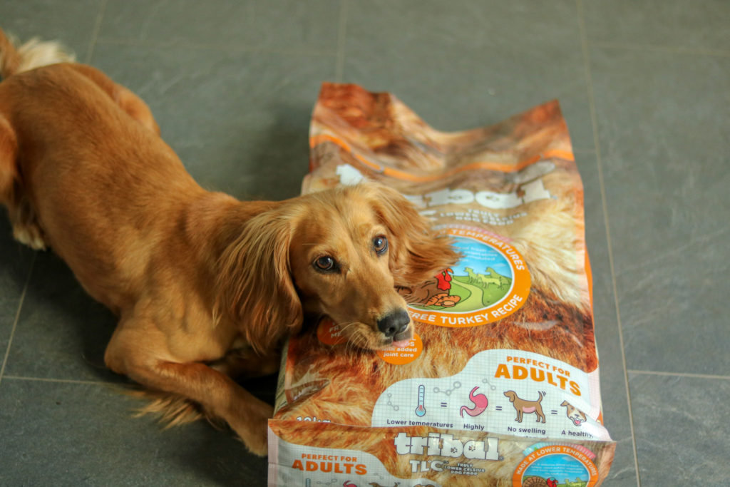 is cold pressed dog food better