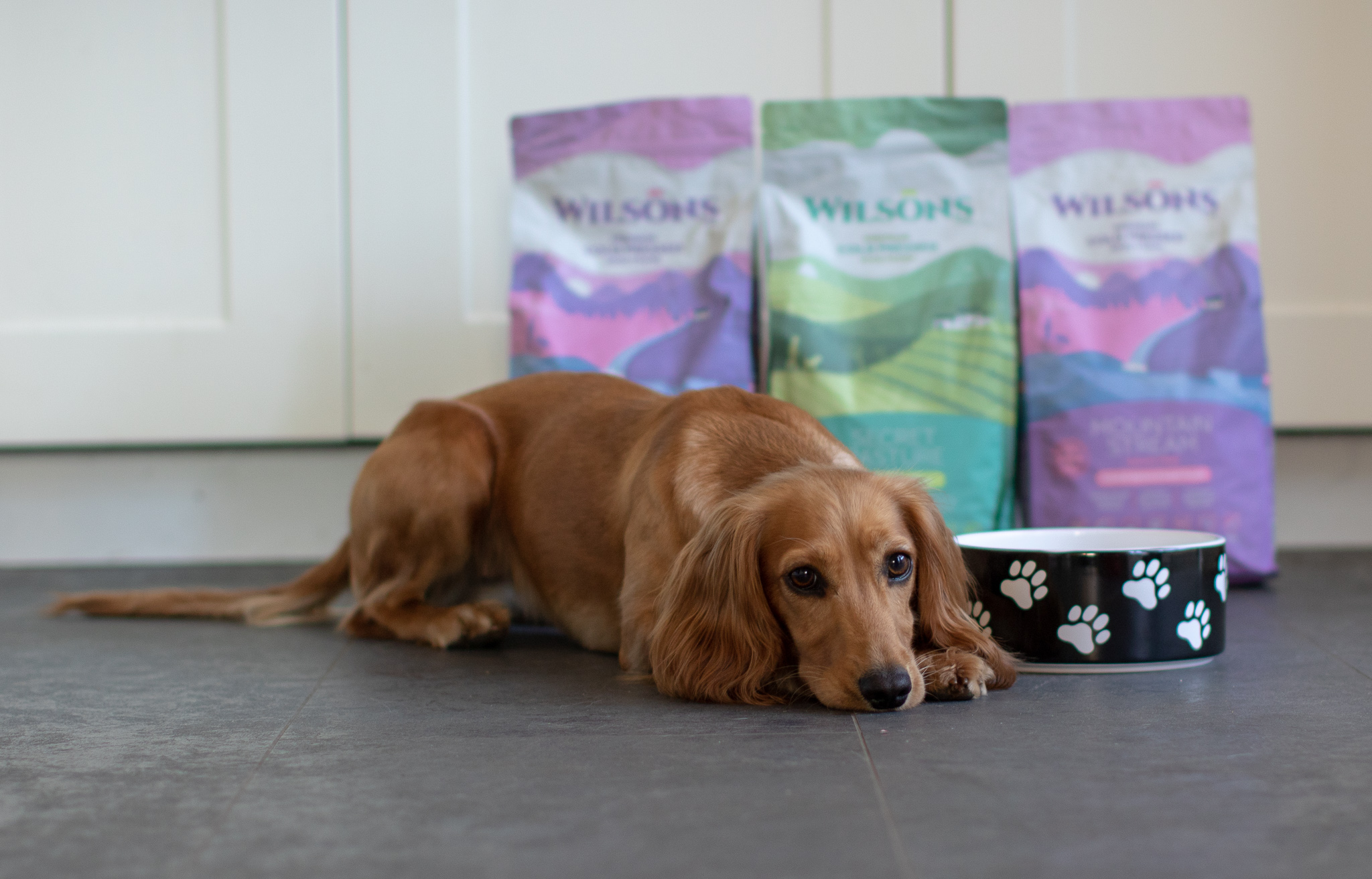 Wilsons Cold Pressed Dog Food Review woofwagwalk.co.uk