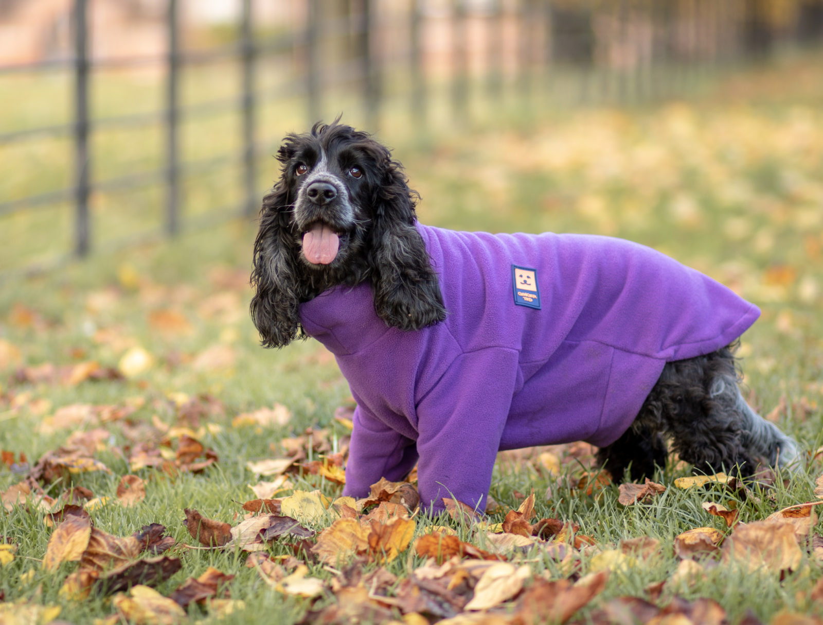 dog fleeces and jumpers