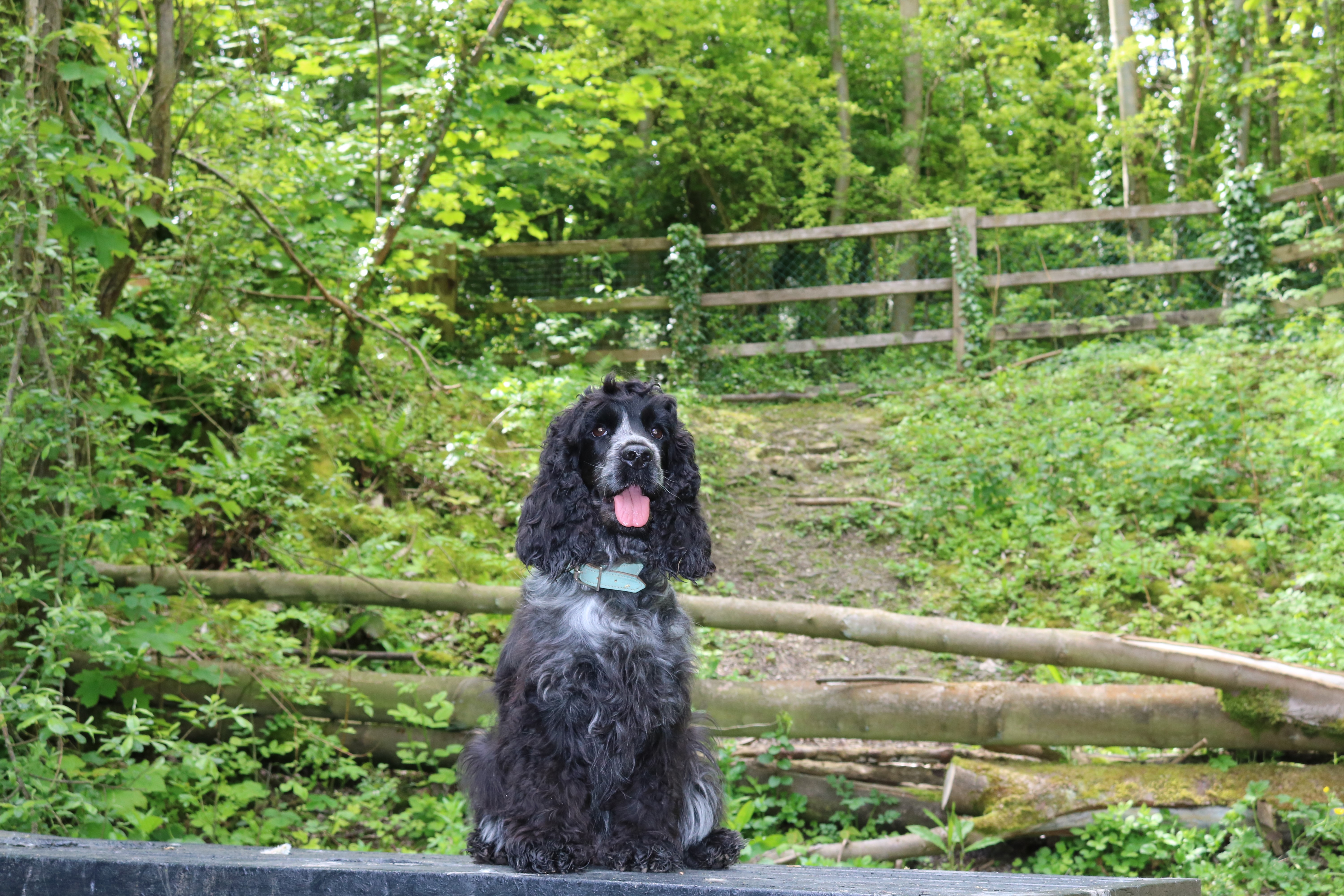 Humber Bridge Country Park