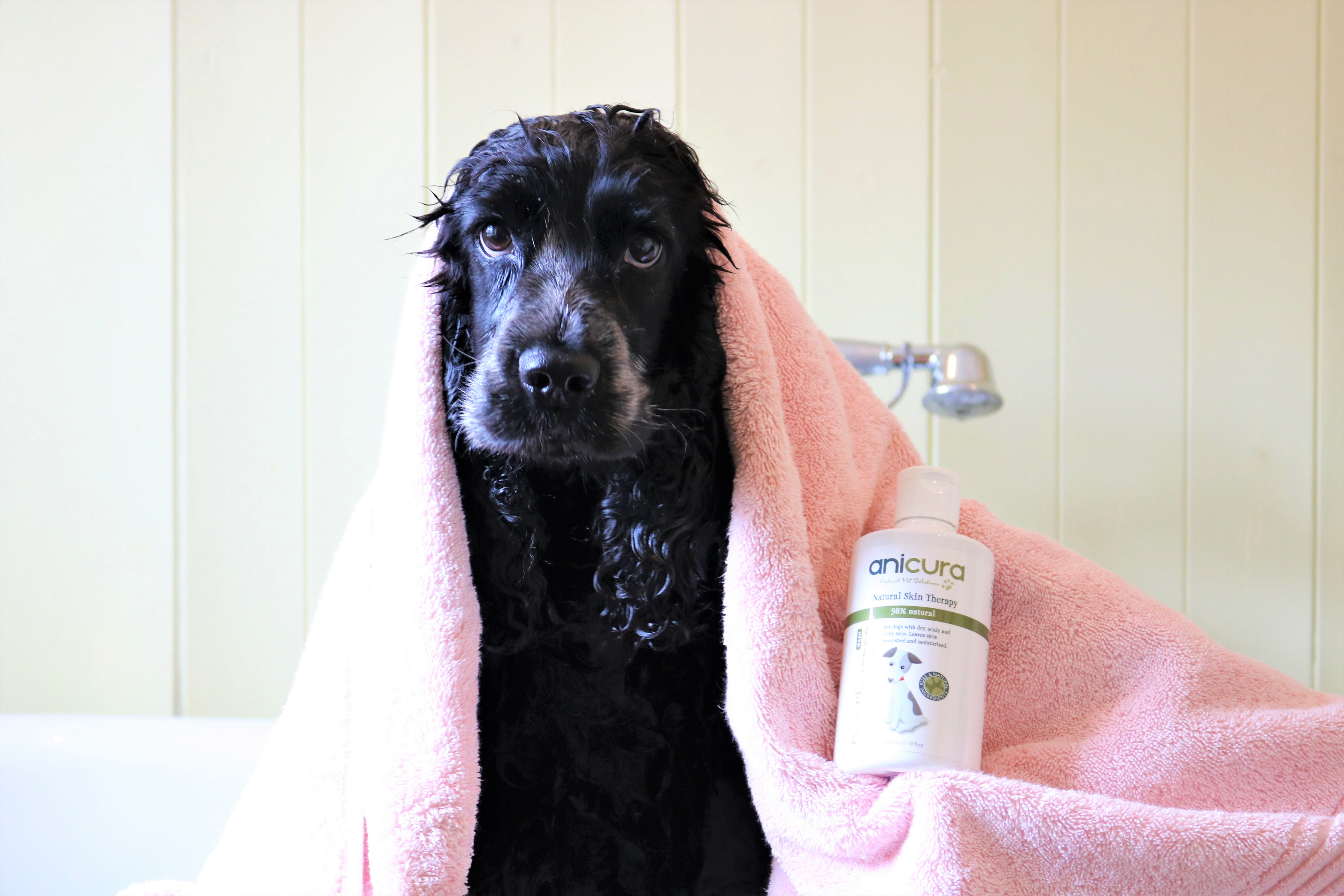 Anicura Shampoo & Spray for Dogs review