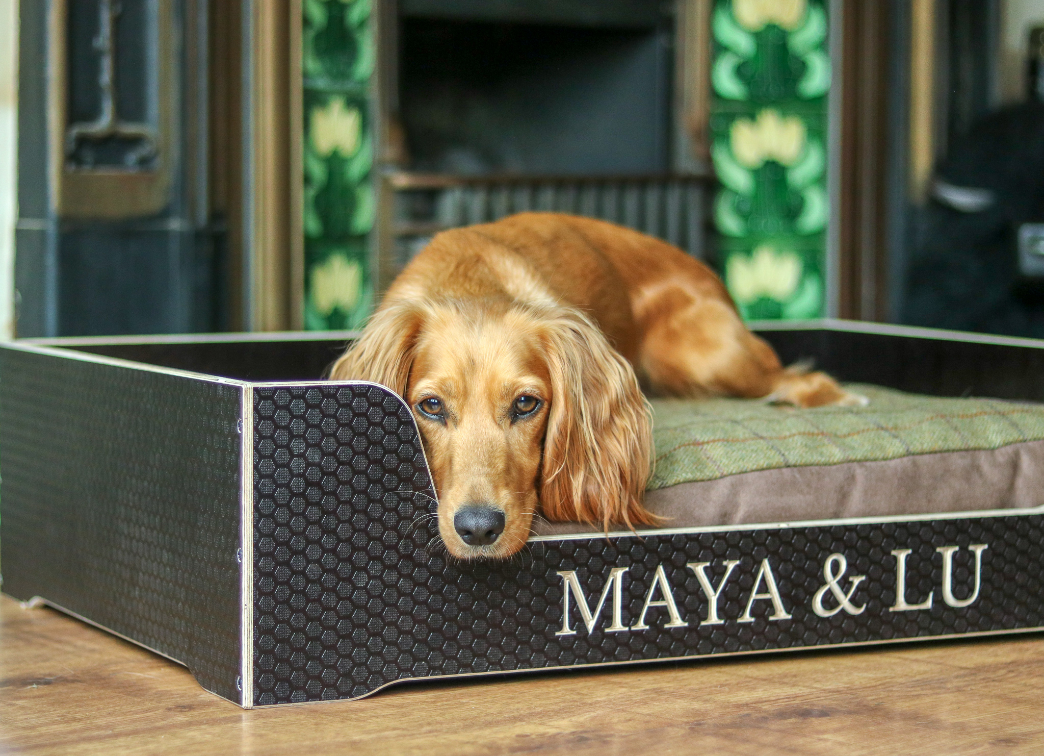 The Spaniels Sleep in Style Chester Cooke Personalised Dog Bed Review woofwagwalk