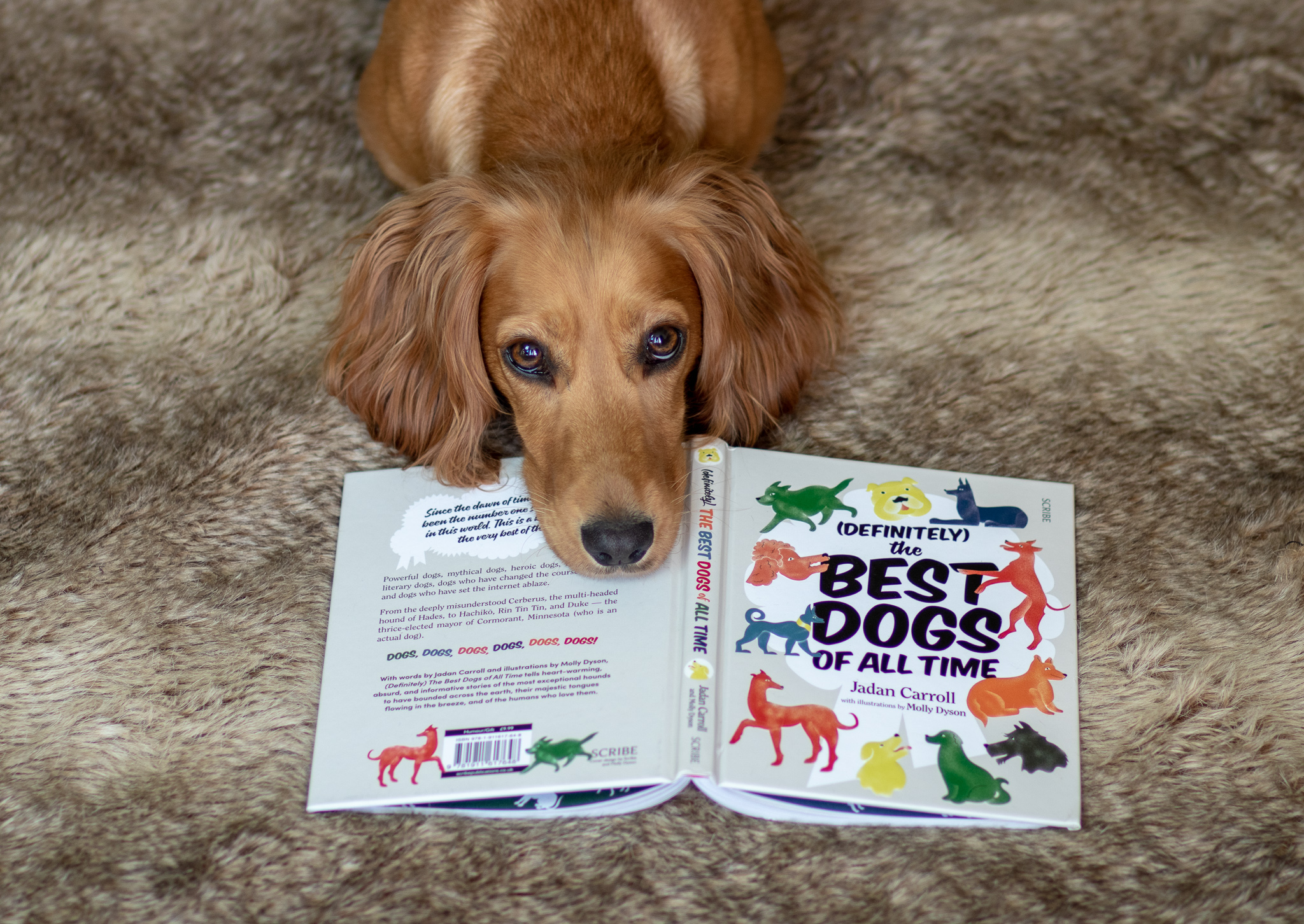 (Definitely) The Best Dogs of All Time by Jadan Carroll – Book Review