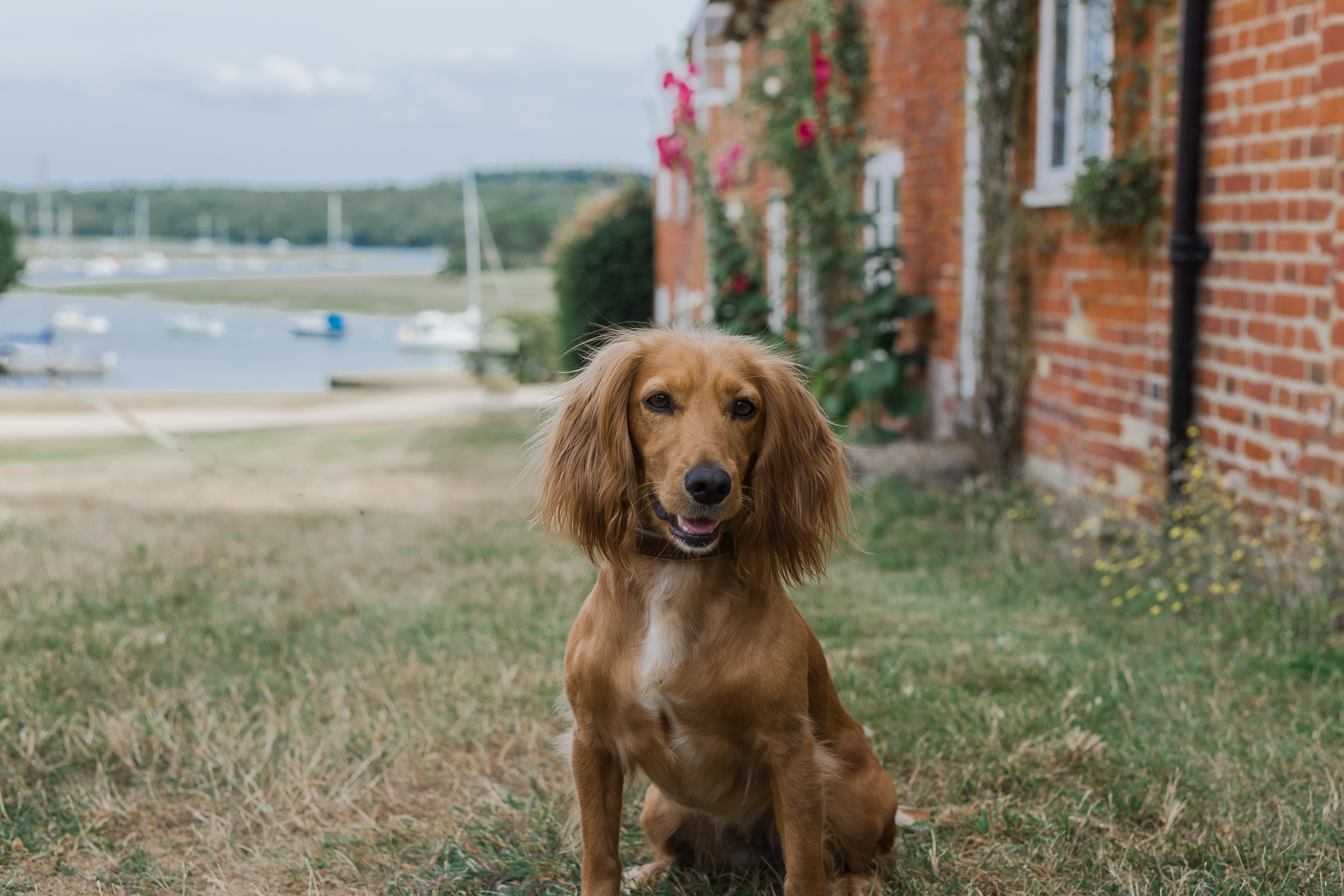 The Master Builder’s – A Dog Friendly Hotel in the New Forest