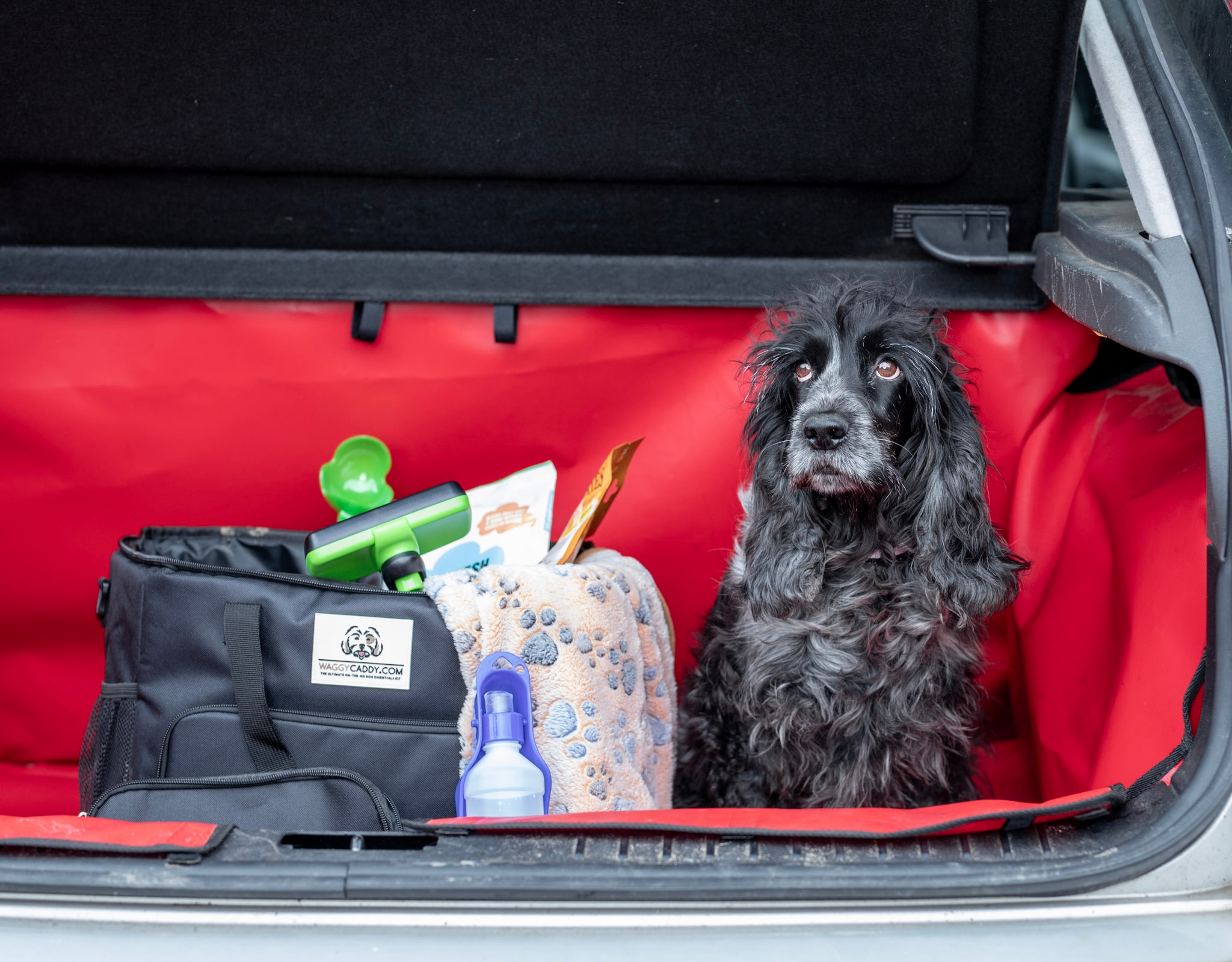 What To Pack For The Dog – featuring the Waggy Caddy Essential Dog Kit.