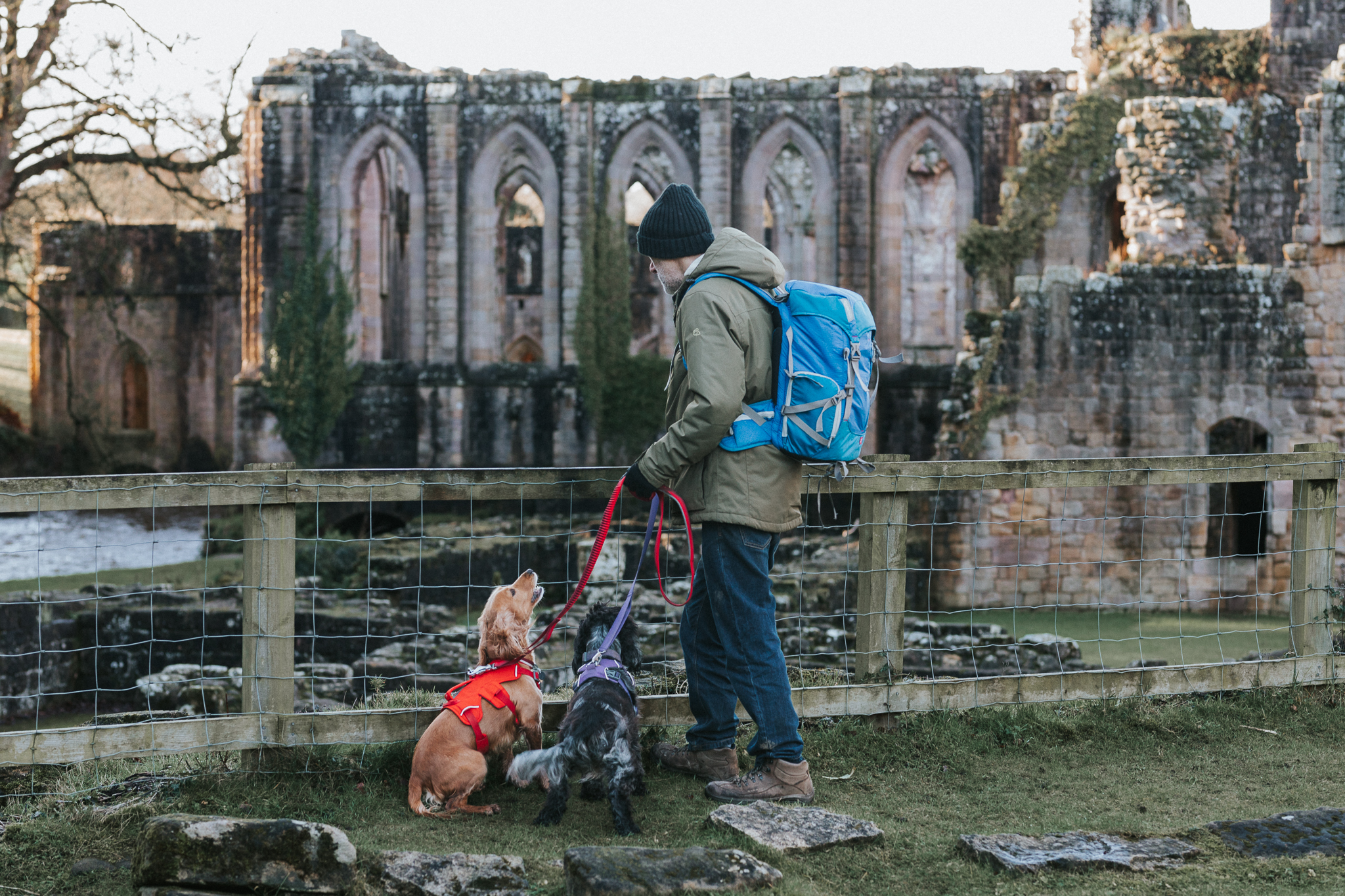 Dog Friendly Fountains Abbey  – Dog Friendly Attractions in Yorkshire