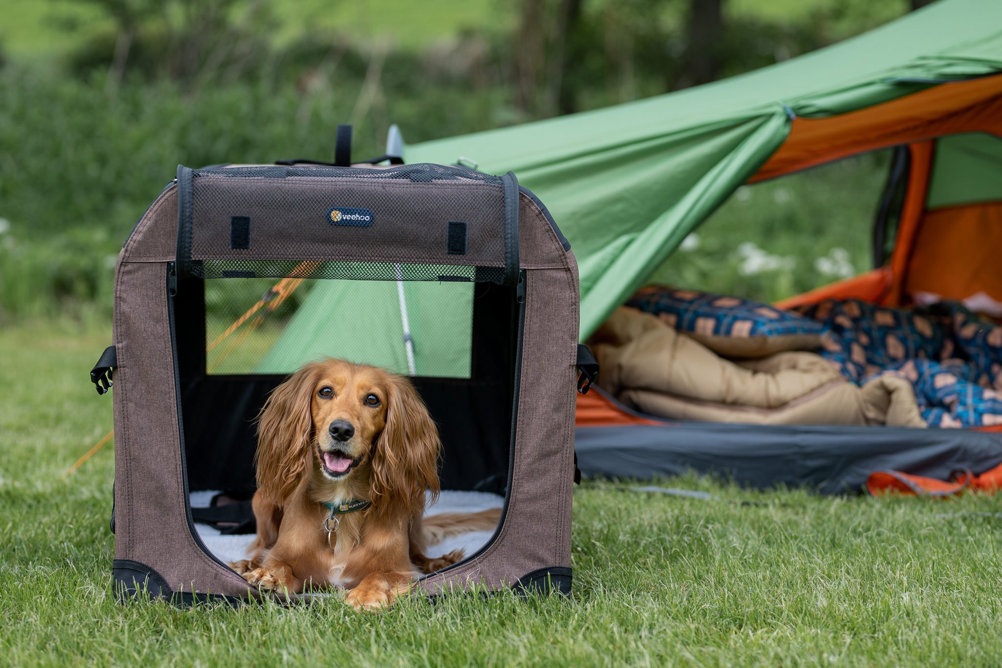 Veehoo Raised Dog Bed and Vehoo Travel Crate Review