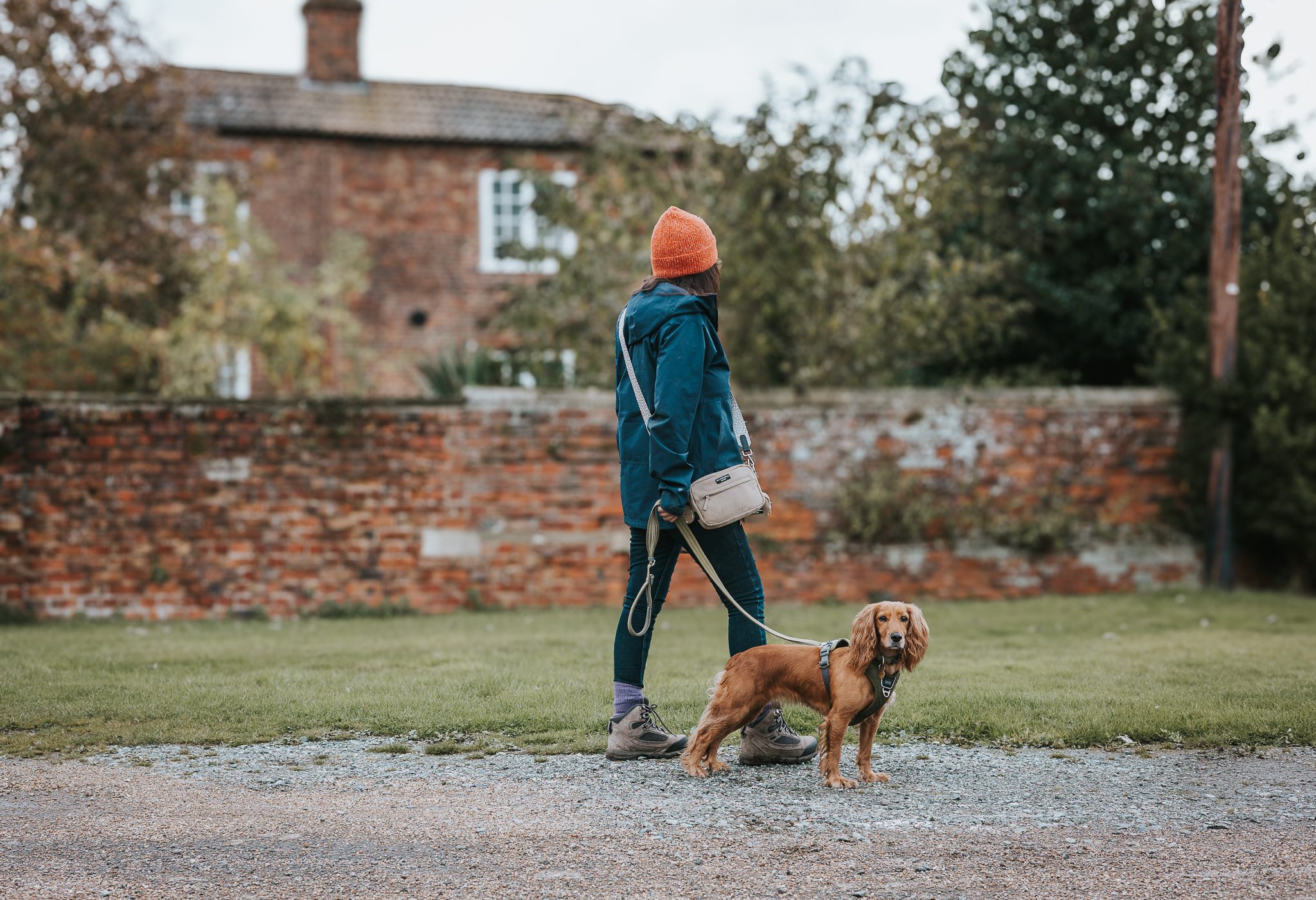 Pet Rebellion Dog Walking Bag Review – The Ultimate Hands-Free Solution for Fun Dog Walks